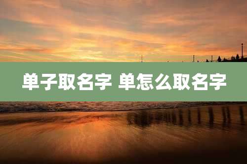 单子取名字 单怎么取名字