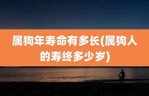 属狗年寿命有多长(属狗人的寿终多少岁)