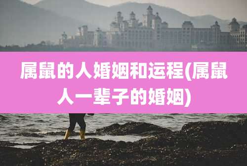 属鼠的人婚姻和运程(属鼠人一辈子的婚姻)