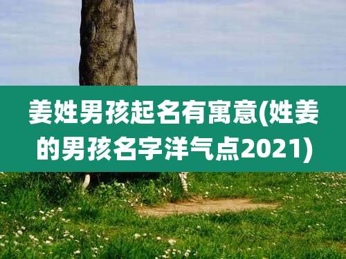 姜姓男孩起名有寓意(姓姜的男孩名字洋气点2021)