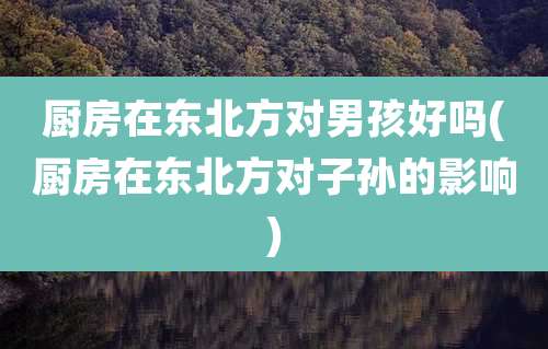 厨房在东北方对男孩好吗(厨房在东北方对子孙的影响)