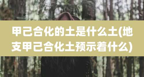 甲己合化的土是什么土(地支甲己合化土预示着什么)