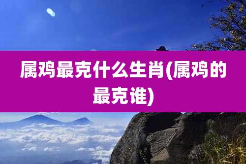 属鸡最克什么生肖(属鸡的最克谁)