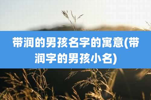 带润的男孩名字的寓意(带润字的男孩小名)