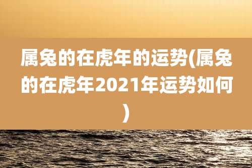属兔的在虎年的运势(属兔的在虎年2021年运势如何)