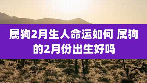 属狗2月生人命运如何 属狗的2月份出生好吗