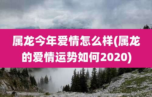 属龙今年爱情怎么样(属龙的爱情运势如何2020)