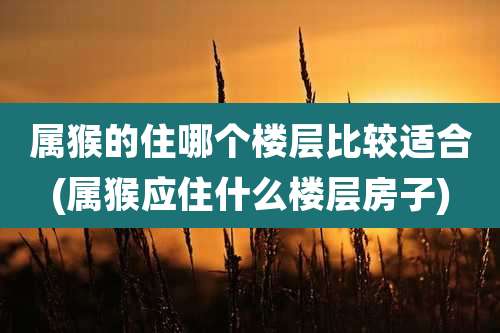 属猴的住哪个楼层比较适合(属猴应住什么楼层房子)