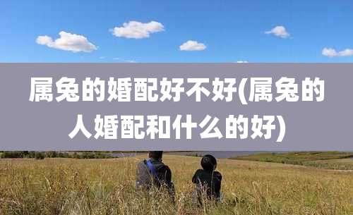 属兔的婚配好不好(属兔的人婚配和什么的好)