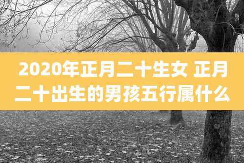 2020年正月二十生女 正月二十出生的男孩五行属什么