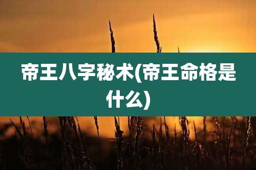 帝王八字秘术(帝王命格是什么)