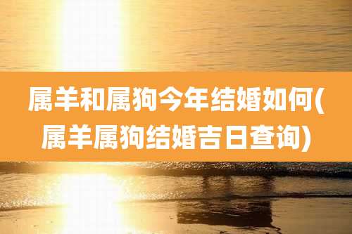 属羊和属狗今年结婚如何(属羊属狗结婚吉日查询)