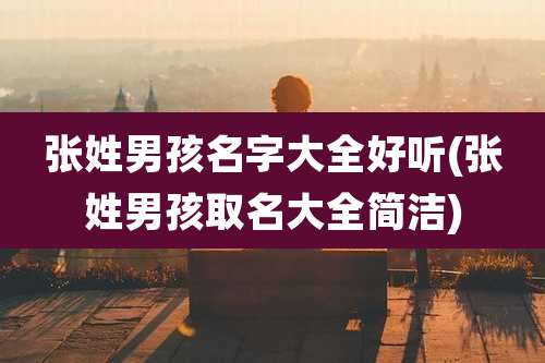 张姓男孩名字大全好听(张姓男孩取名大全简洁)