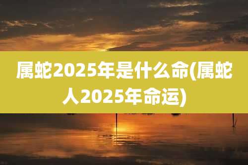 属蛇2025年是什么命(属蛇人2025年命运)