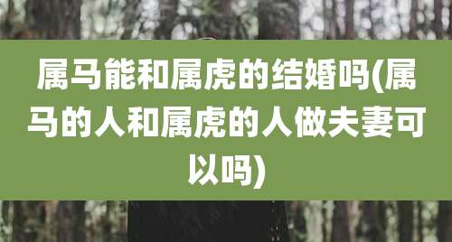 属马能和属虎的结婚吗(属马的人和属虎的人做夫妻可以吗)