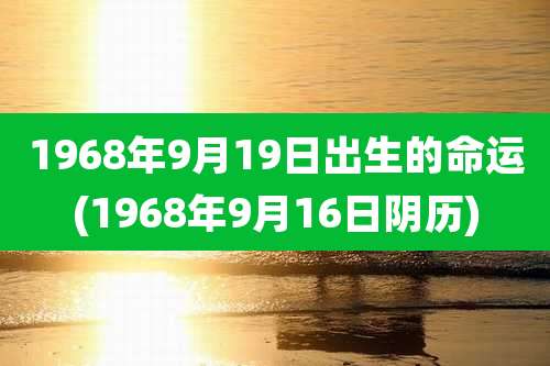 1968年9月19日出生的命运(1968年9月16日阴历)