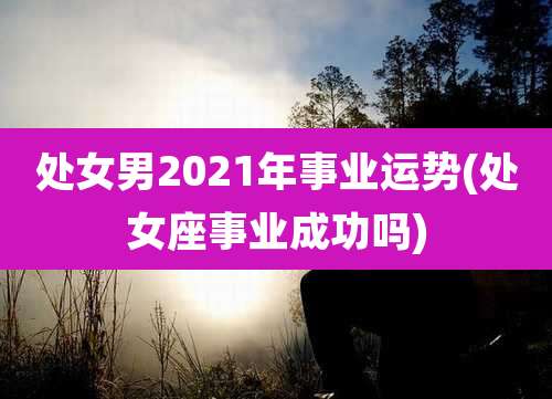 处女男2021年事业运势(处女座事业成功吗)