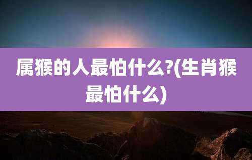 属猴的人最怕什么?(生肖猴最怕什么)