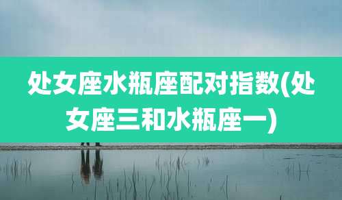 处女座水瓶座配对指数(处女座三和水瓶座一)