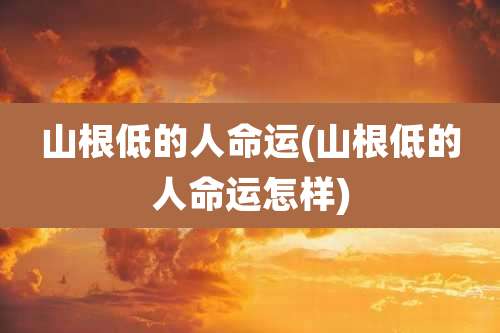 山根低的人命运(山根低的人命运怎样)