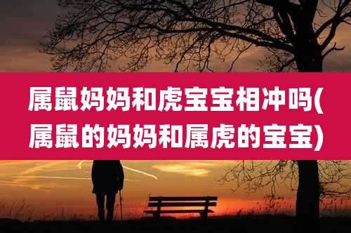 属鼠妈妈和虎宝宝相冲吗(属鼠的妈妈和属虎的宝宝)
