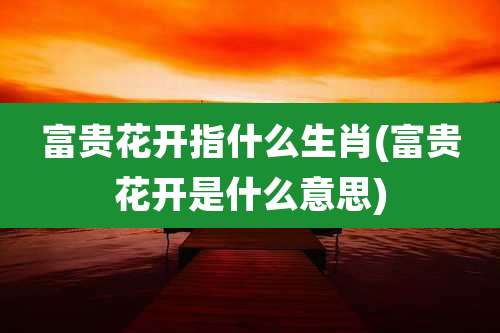 富贵花开指什么生肖(富贵花开是什么意思)