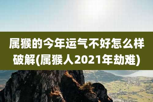 属猴的今年运气不好怎么样破解(属猴人2021年劫难)