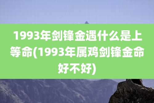 1993年剑锋金遇什么是上等命(1993年属鸡剑锋金命好不好)