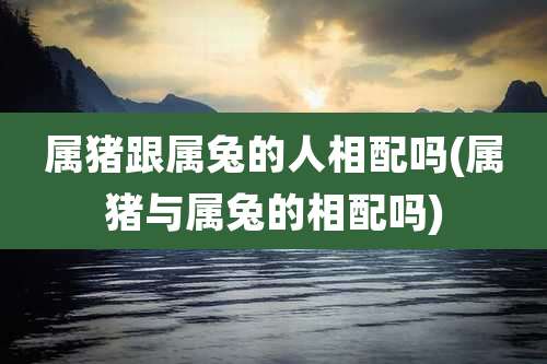 属猪跟属兔的人相配吗(属猪与属兔的相配吗)