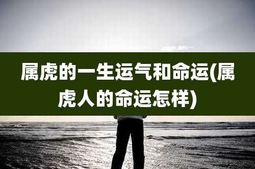 属虎的一生运气和命运(属虎人的命运怎样)