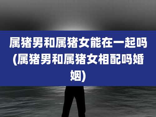 属猪男和属猪女能在一起吗(属猪男和属猪女相配吗婚姻)