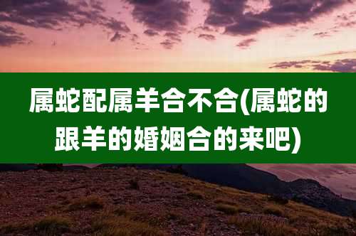属蛇配属羊合不合(属蛇的跟羊的婚姻合的来吧)