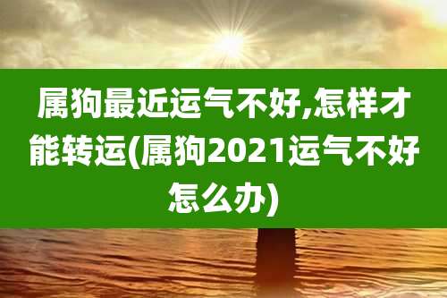 属狗最近运气不好,怎样才能转运(属狗2021运气不好怎么办)