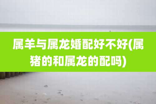 属羊与属龙婚配好不好(属猪的和属龙的配吗)