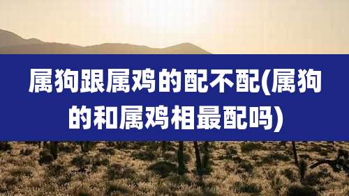 属狗跟属鸡的配不配(属狗的和属鸡相最配吗)