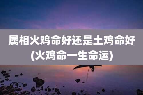 属相火鸡命好还是土鸡命好(火鸡命一生命运)