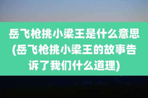 岳飞枪挑小梁王是什么意思(岳飞枪挑小梁王的故事告诉了我们什么道理)
