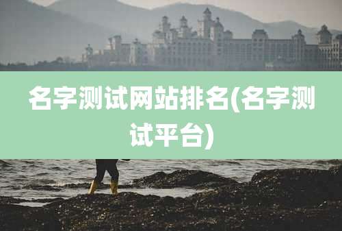 名字测试网站排名(名字测试平台)