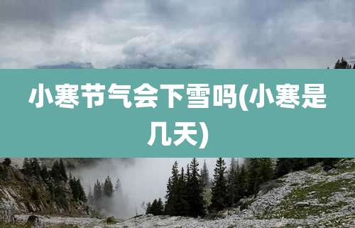 小寒节气会下雪吗(小寒是几天)