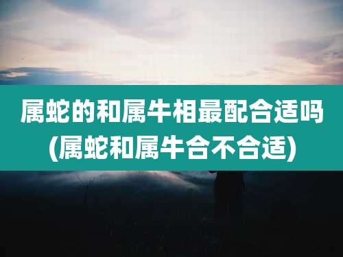 属蛇的和属牛相最配合适吗(属蛇和属牛合不合适)