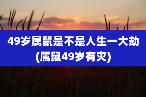 49岁属鼠是不是人生一大劫(属鼠49岁有灾)