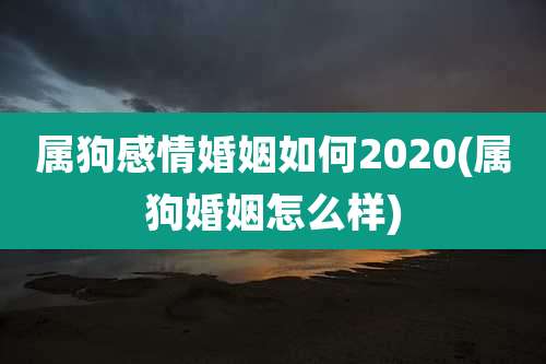 属狗感情婚姻如何2020(属狗婚姻怎么样)
