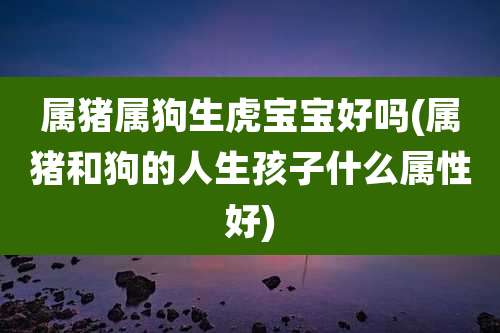 属猪属狗生虎宝宝好吗(属猪和狗的人生孩子什么属性好)