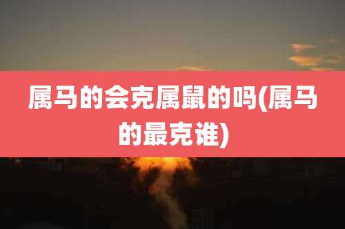 属马的会克属鼠的吗(属马的最克谁)