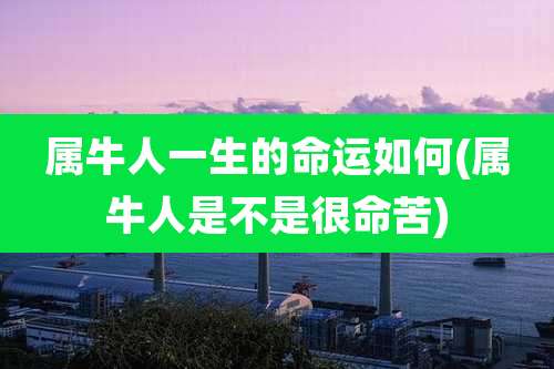 属牛人一生的命运如何(属牛人是不是很命苦)