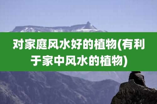 对家庭风水好的植物(有利于家中风水的植物)