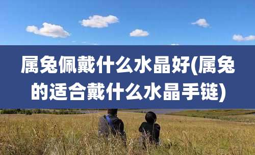 属兔佩戴什么水晶好(属兔的适合戴什么水晶手链)