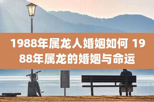 1988年属龙人婚姻如何 1988年属龙的婚姻与命运