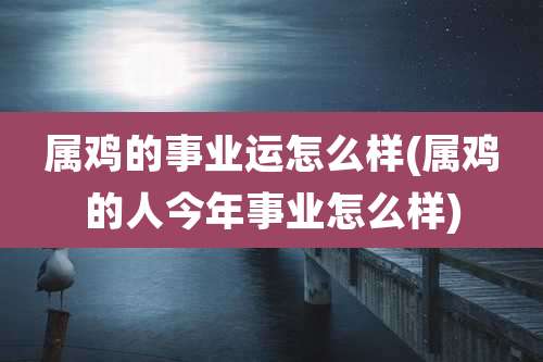 属鸡的事业运怎么样(属鸡的人今年事业怎么样)