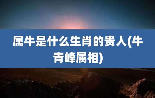 属牛是什么生肖的贵人(牛青峰属相)